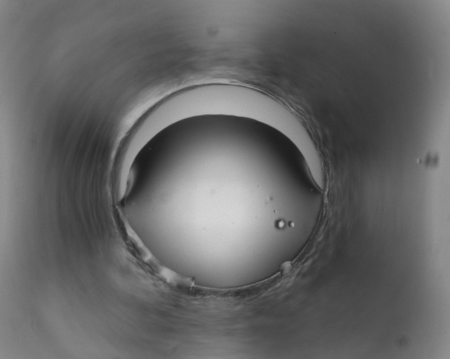 X0000111930292200908241122