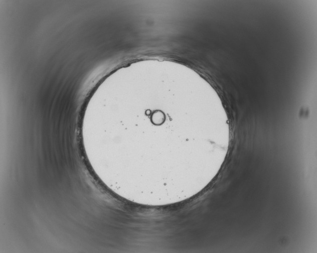 X0000111930293200908241122