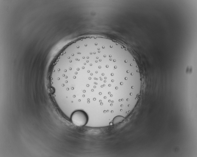 X0000111930294200908241122