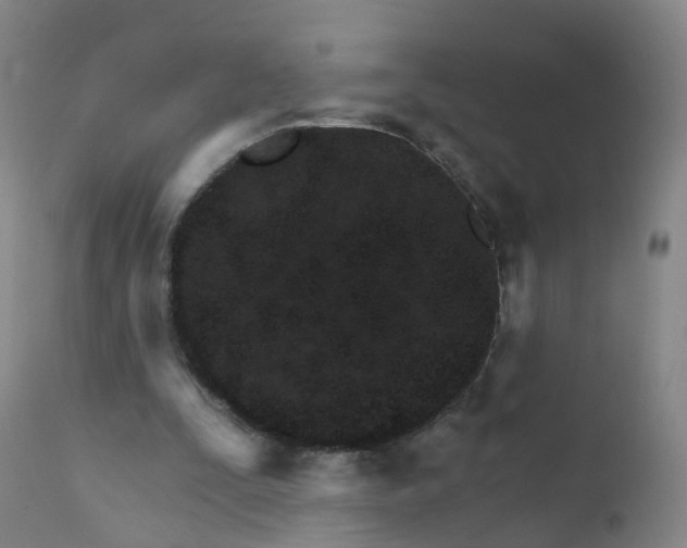 X0000111930295200908241122