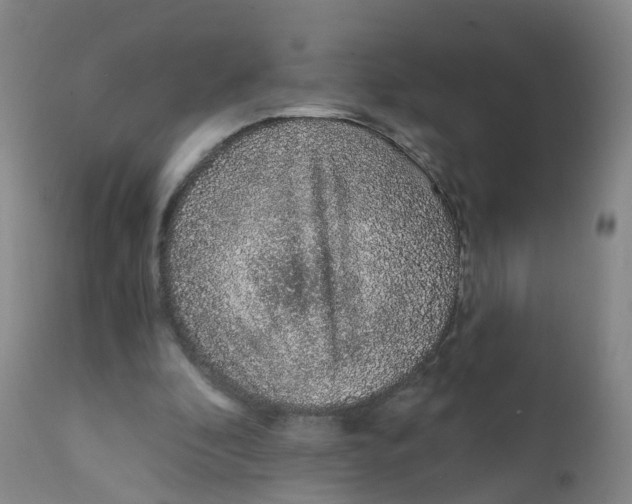 X0000111930296200908241122