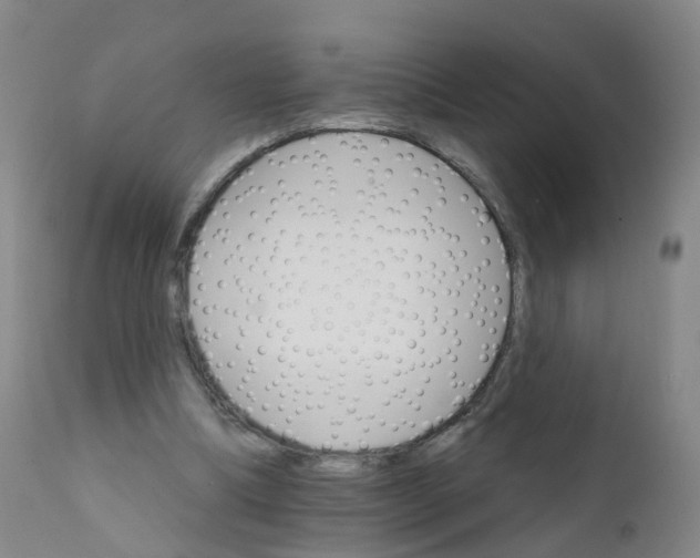 X0000111930298200908241122