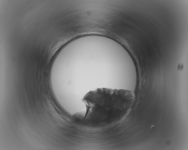 X0000111930299200908241122