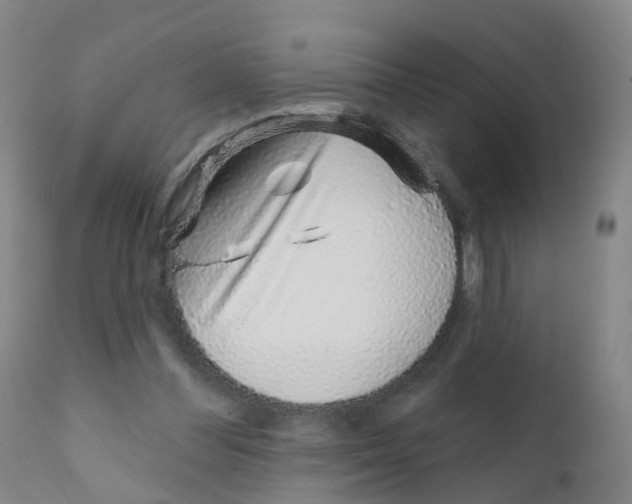 X0000111930300200908241122