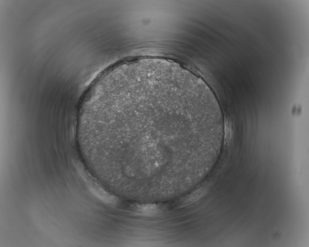 X0000111930301200908241122