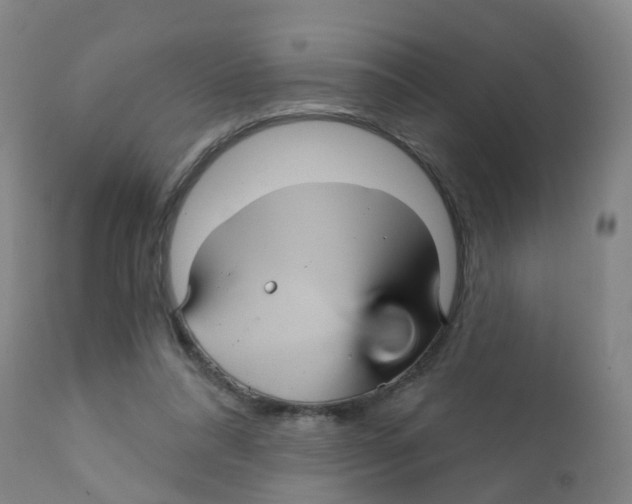 X0000111930304200908241122