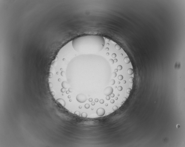 X0000111930307200908241122