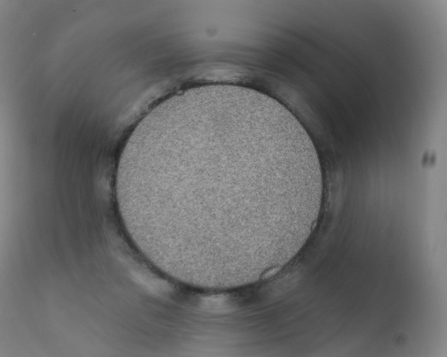 X0000111930309200908241122