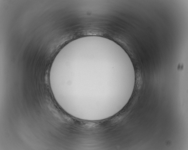 X0000111930310200908241121