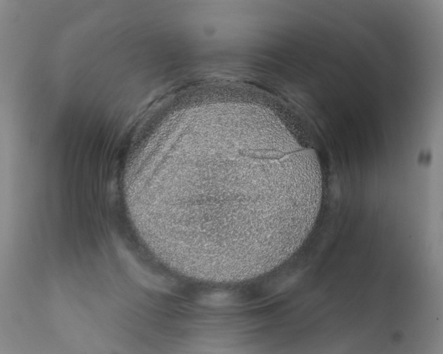 X0000111930312200908241121