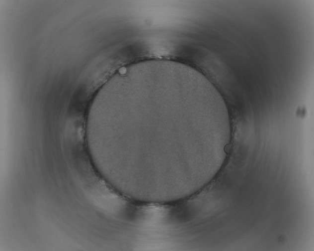 X0000111930313200908241121