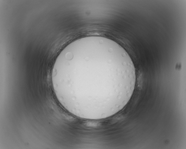 X0000111930314200908241121