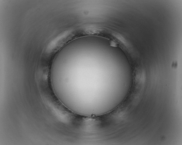 X0000111930315200908241121