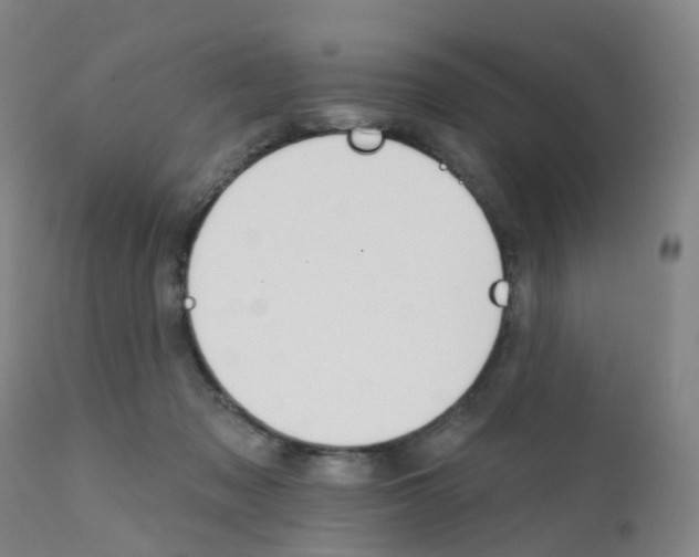 X0000111930317200908241121