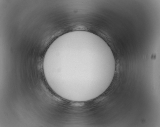 X0000111930318200908241121