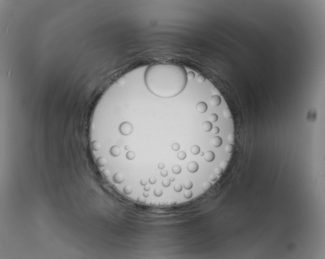 X0000111930319200908241121