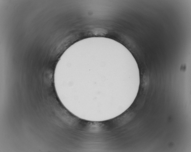 X0000111930321200908241121