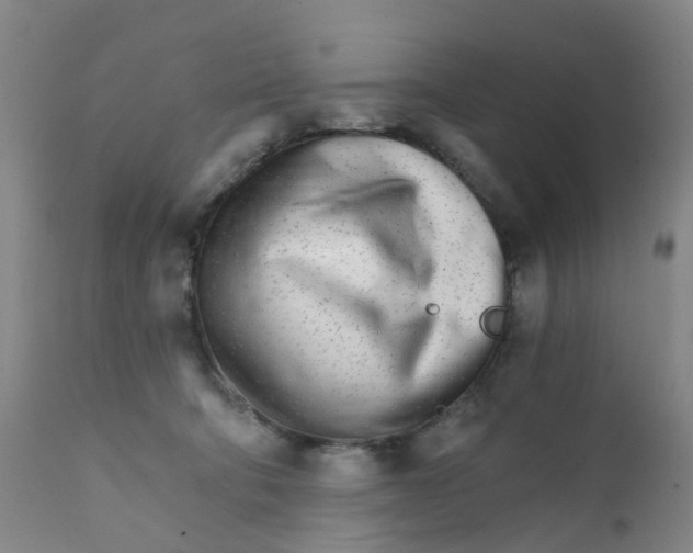 X0000111930322200908241121