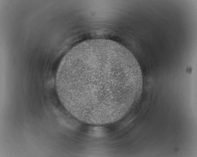 X0000111930324200908241121