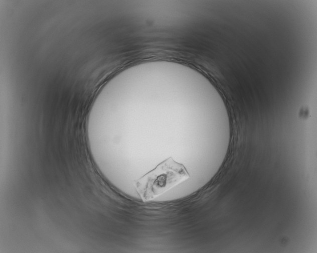 X0000111930325200908241121