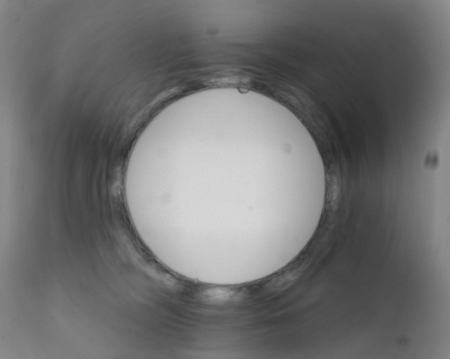 X0000111930326200908241121