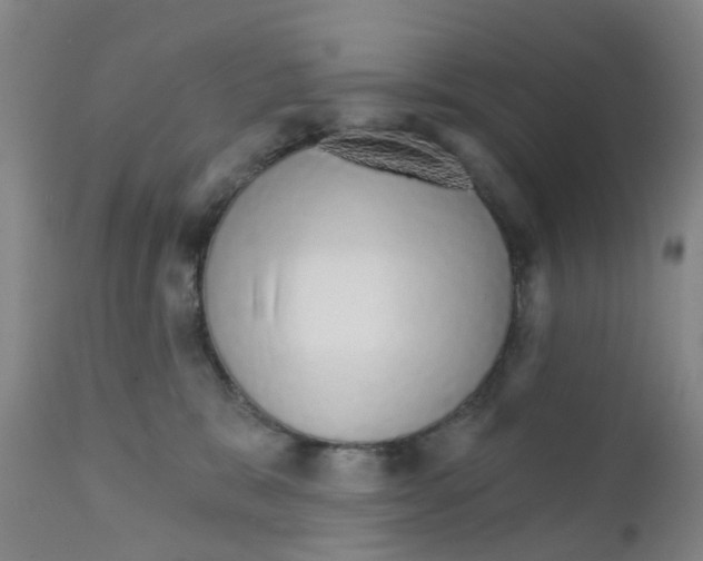 X0000111930327200908241121