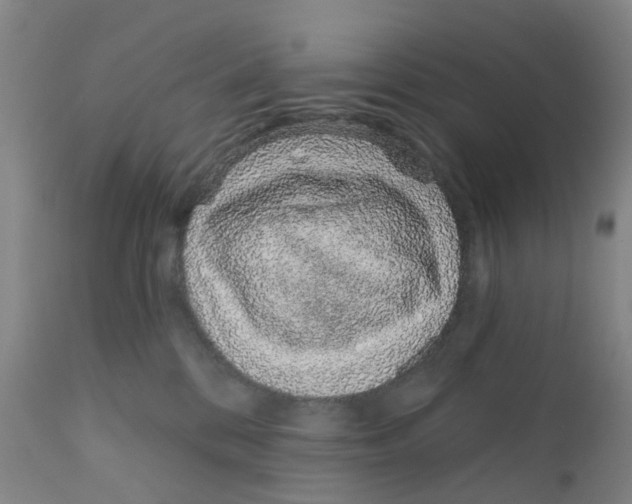 X0000111930328200908241121