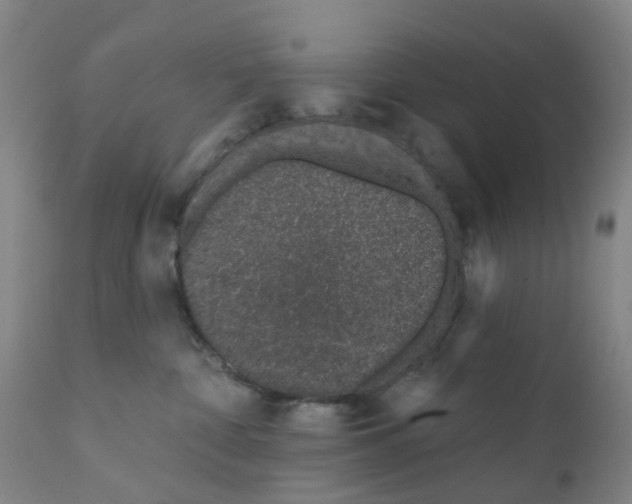 X0000111930332200908241121