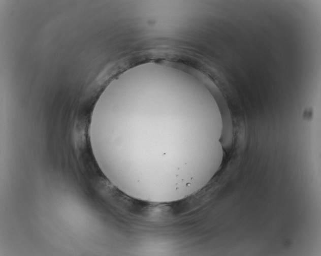 X0000111930333200908241121