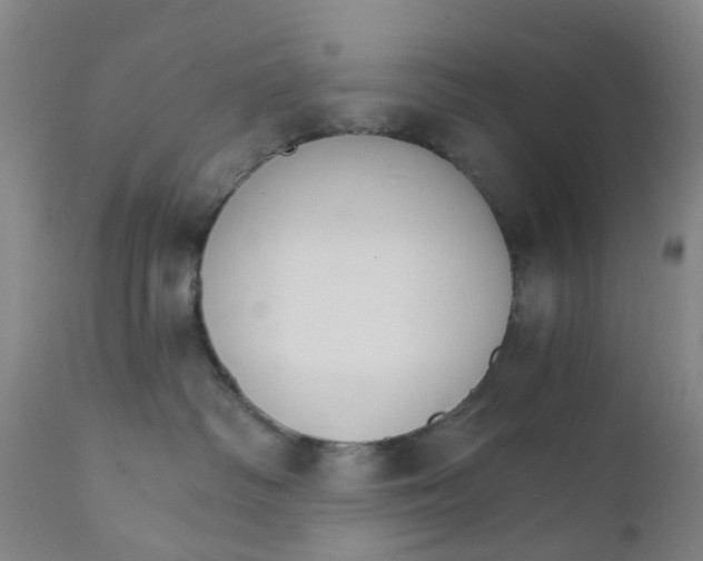 X0000111930334200908241121