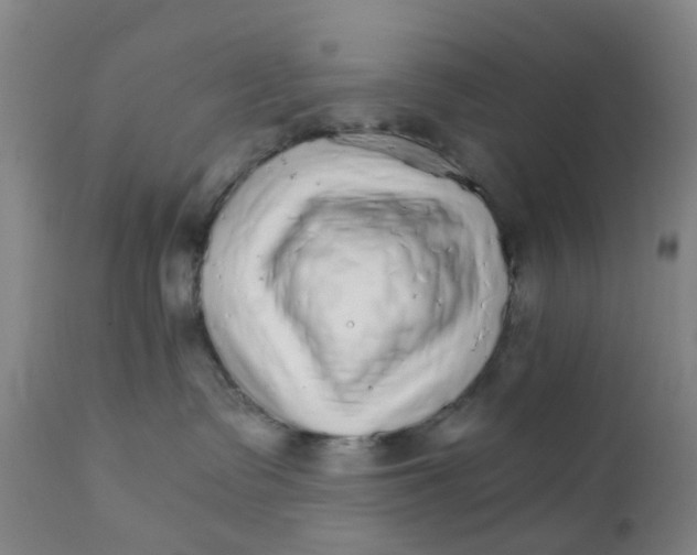 X0000111930335200908241121