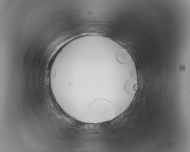 X0000111930338200908241120