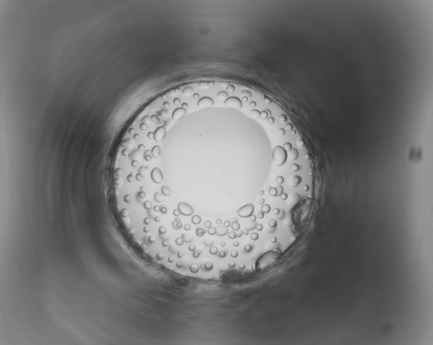 X0000111930341200908241121