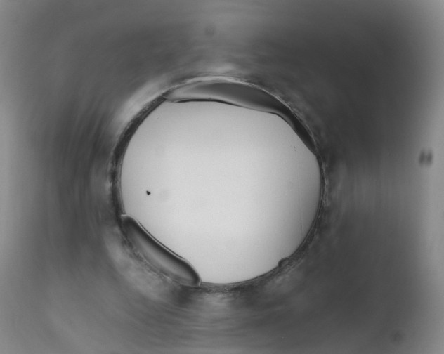 X0000111930344200908241121