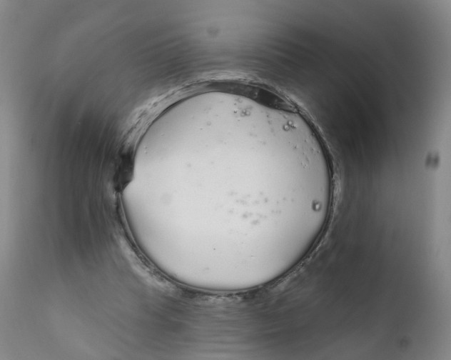 X0000111930345200908241121