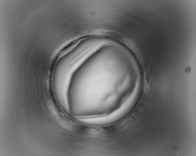 X0000111930346200908241121