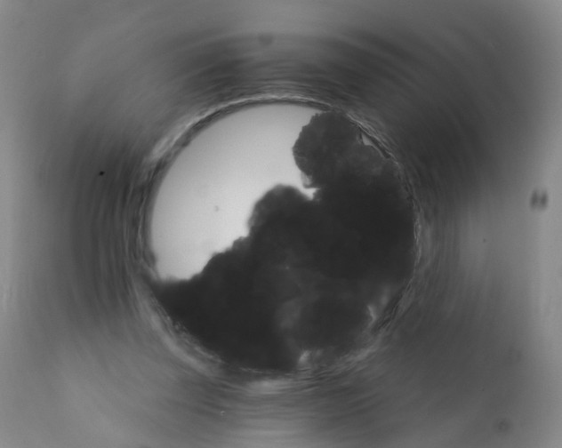 X0000111930347200908241121