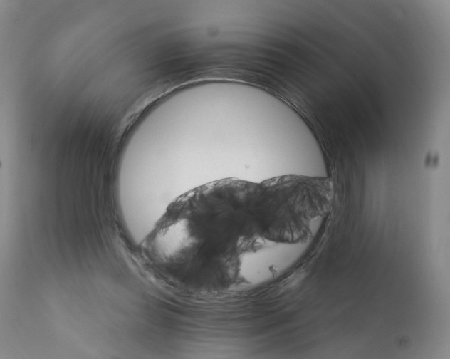 X0000111930349200908241121