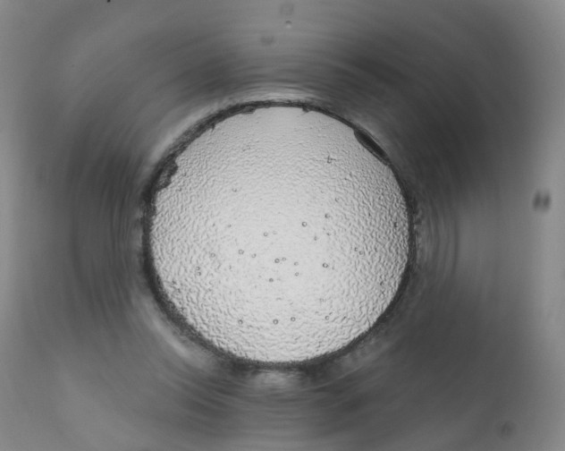 X0000111930350200908241121