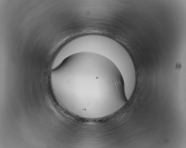 X0000111930352200908241121