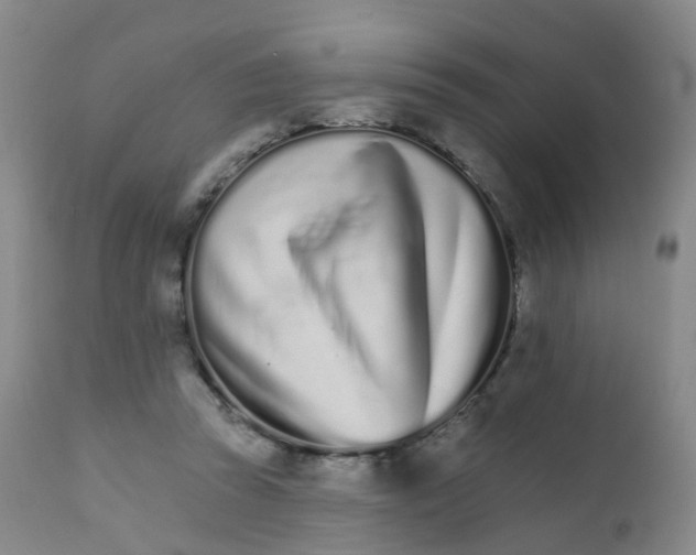 X0000111930353200908241121