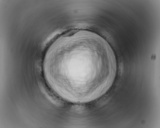 X0000111930354200908241121