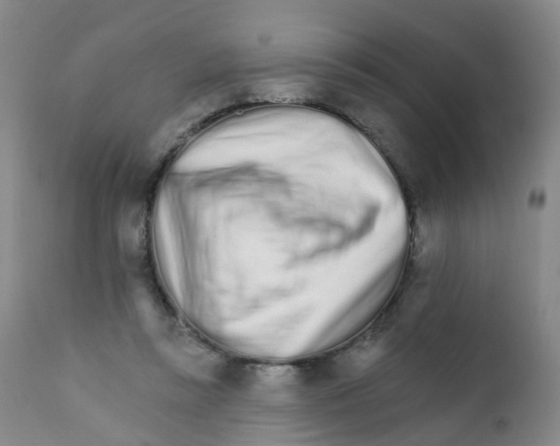 X0000111930355200908241121