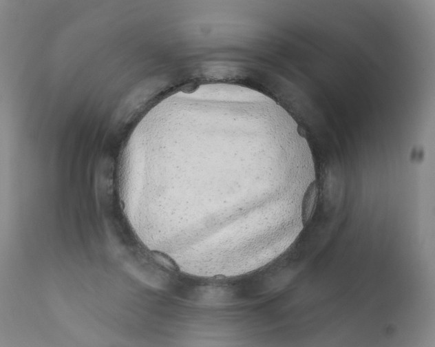 X0000111930356200908241121