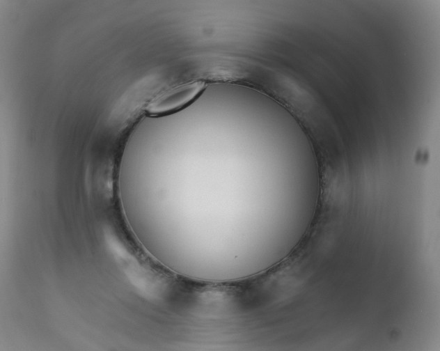 X0000111930358200908241121