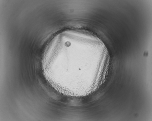 X0000111930359200908241121