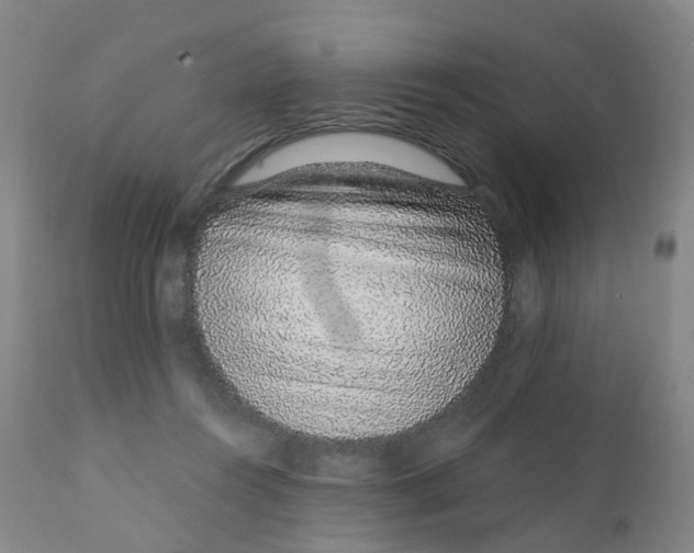 X0000111930360200908241121