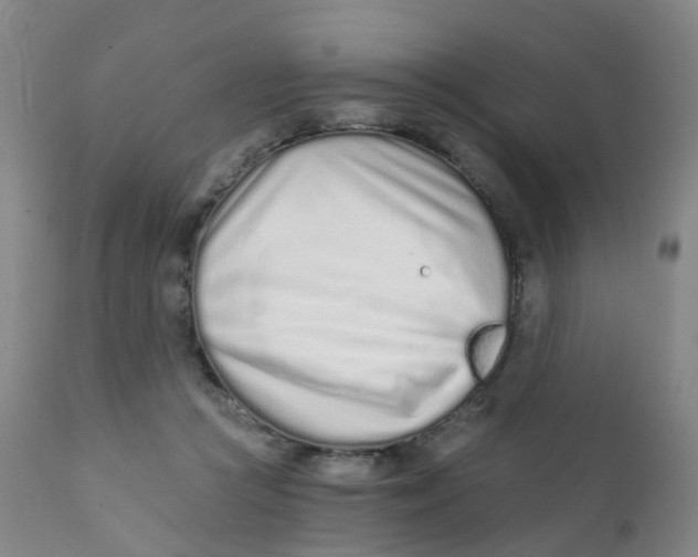 X0000111930361200908241121