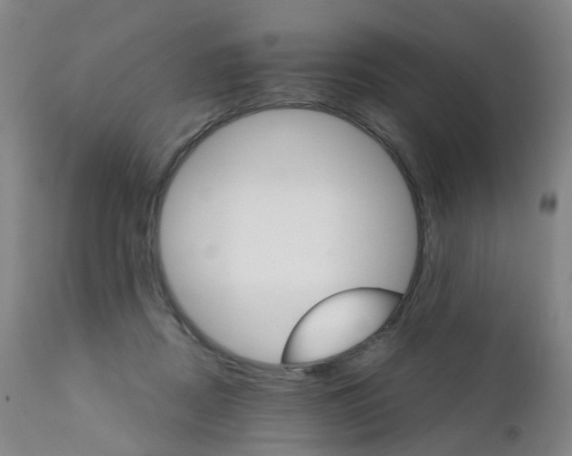 X0000111930362200908241121