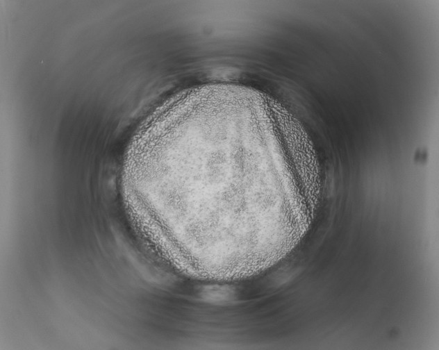 X0000111930363200908241121